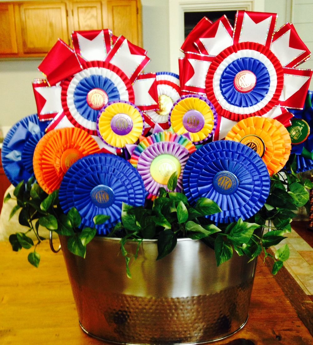 5 Ways to Recycle Your Dog-Show Ribbons